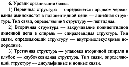 Охарактеризуйте три структуры белка